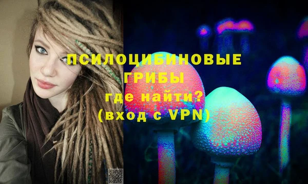 экстази Арсеньев
