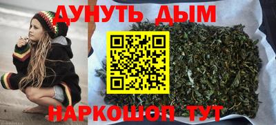 сатива Ирбит