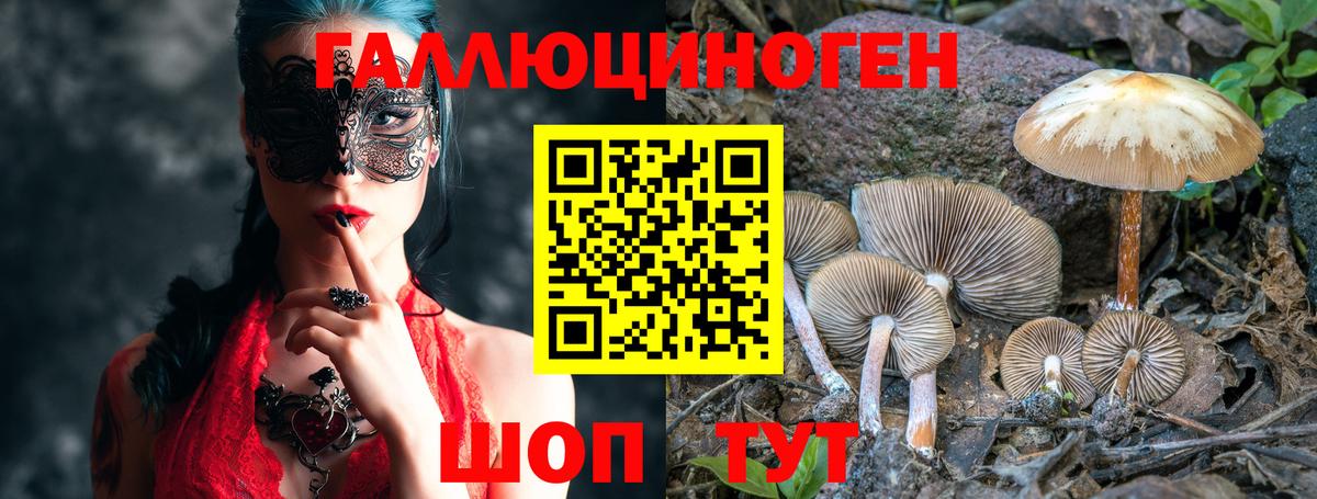 Псилоцибиновые грибы мицелий  Вход с VPN  Междуреченск 