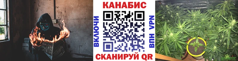 Канабис сатива  купить наркоту  Междуреченск 