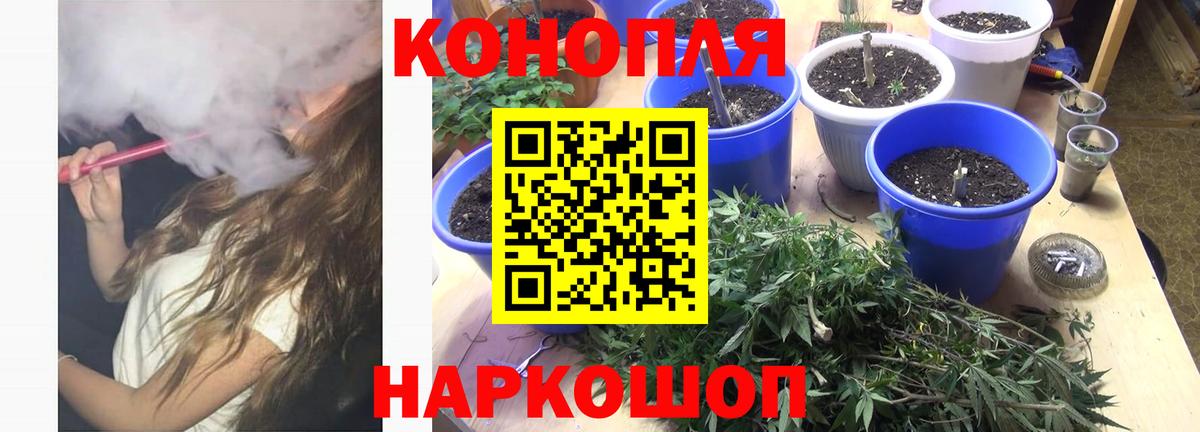 Марихуана THC 21%  Вход с VPN  Бошки Шишки сатива  Междуреченск  Шишки марихуана гибрид 